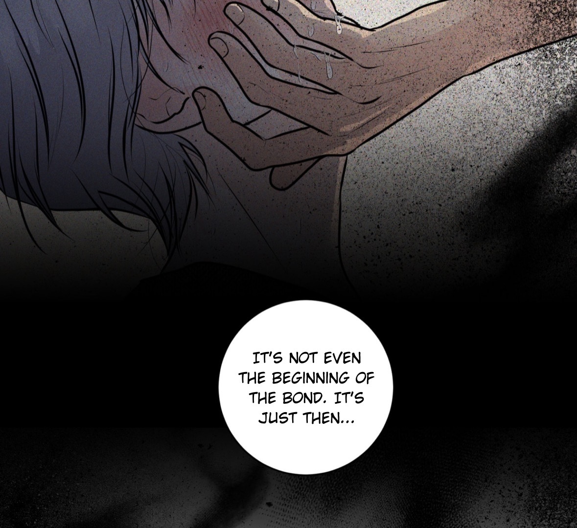 62127033 1179 1080 293590